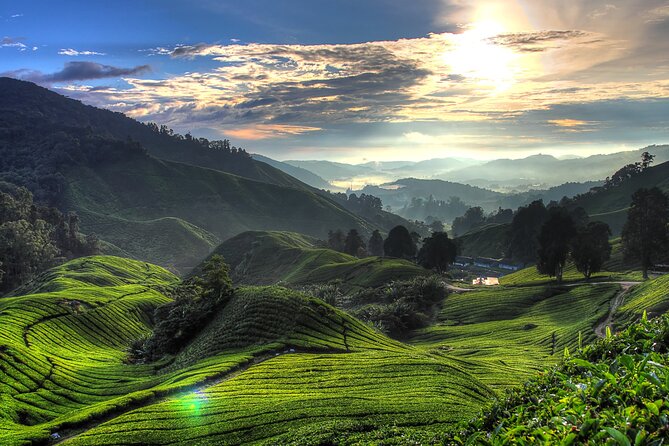 Kuala Lumpur: Cameron Highlands & Batu Caves Private Day Tour - Lata Iskandar Waterfall and the mountain road