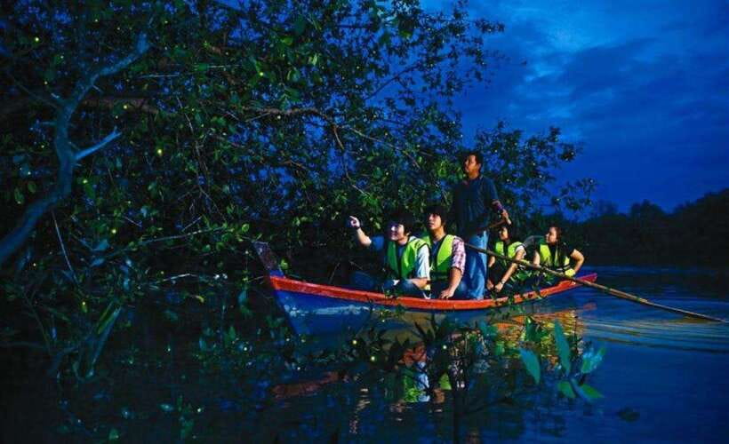 Kuala Lumpur: City Sights, Batu Caves and Fireflies Day Trip - What you see from the vehicle, and what you do not
