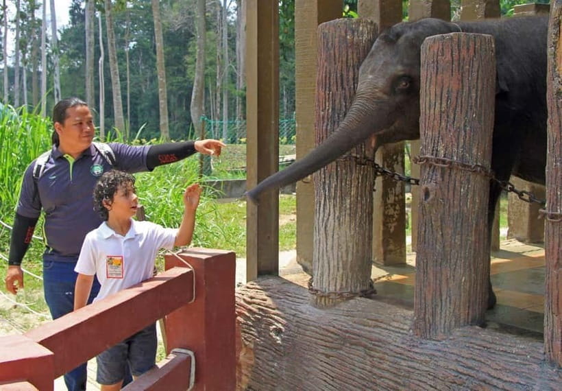 Kuala Lumpur Day Tour: Batu Caves & Elephant Sanctuary - Batu Caves begins with a giant golden welcome