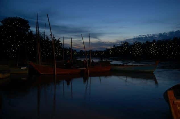 Kuala Lumpur: Fireflies & Blue Tears Tour with Seafood Meal - Leaving Kuala Lumpur for Kuala Selangor