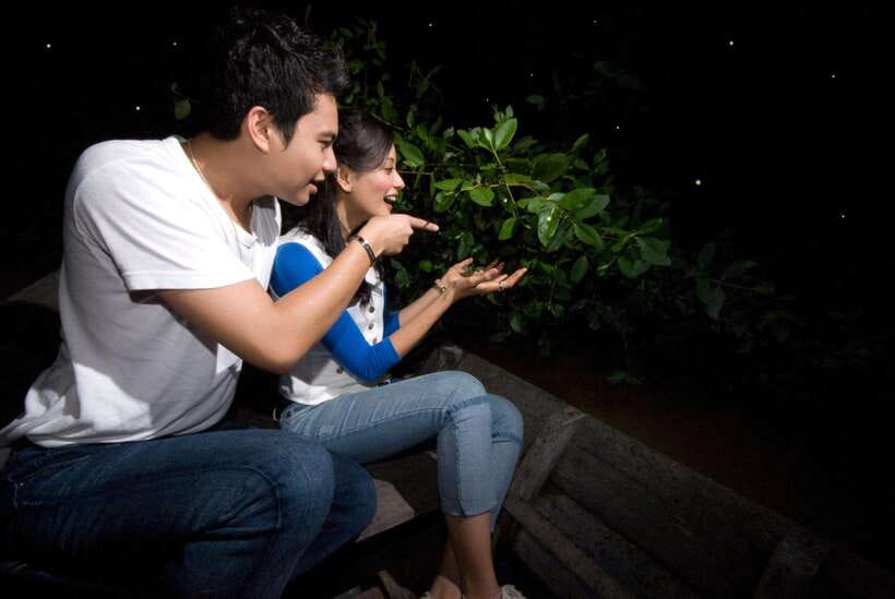 Kuala Lumpur: Fireflies & Blue Tears Tour with Seafood Meal - Who should book this evening?