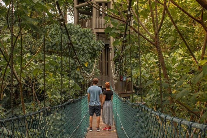 Kuala Lumpur Instagram Tour Most Famous Spots - KL Forest Eco Park and the canopy walkway