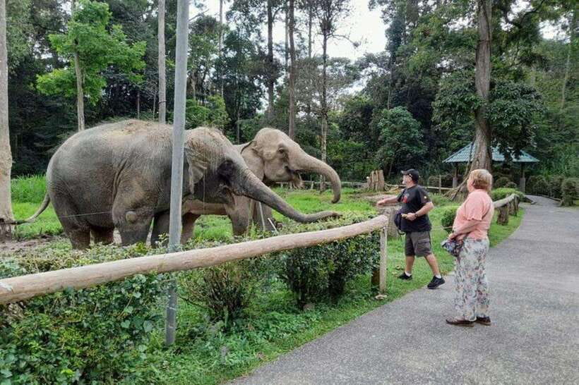 Kuala Lumpur: Kuala Gandah and Batu Caves Private Trip - The road to Kuala Gandah
