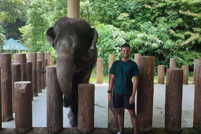 Kuala Lumpur: Kuala Gandah and Batu Caves Private Trip - Meeting the elephants at the rescue center