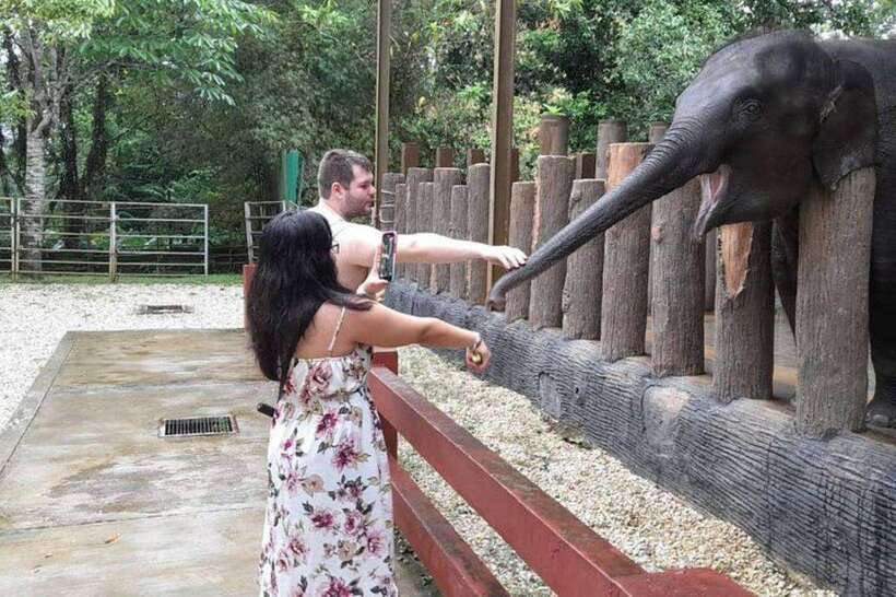 Kuala Lumpur: Kuala Gandah and Batu Caves Private Trip - Why the private driver matters