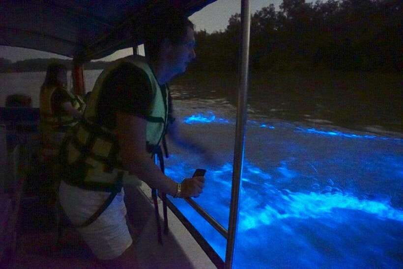 Kuala Lumpur: Kuala Selangor Fireflies and Blue Tears Tour - Which guide makes the difference?