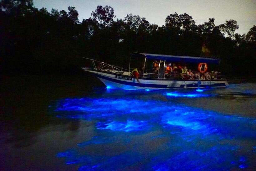 Kuala Lumpur: Kuala Selangor Fireflies and Blue Tears Tour - Transport, pickup, and the real eight-hour timetable