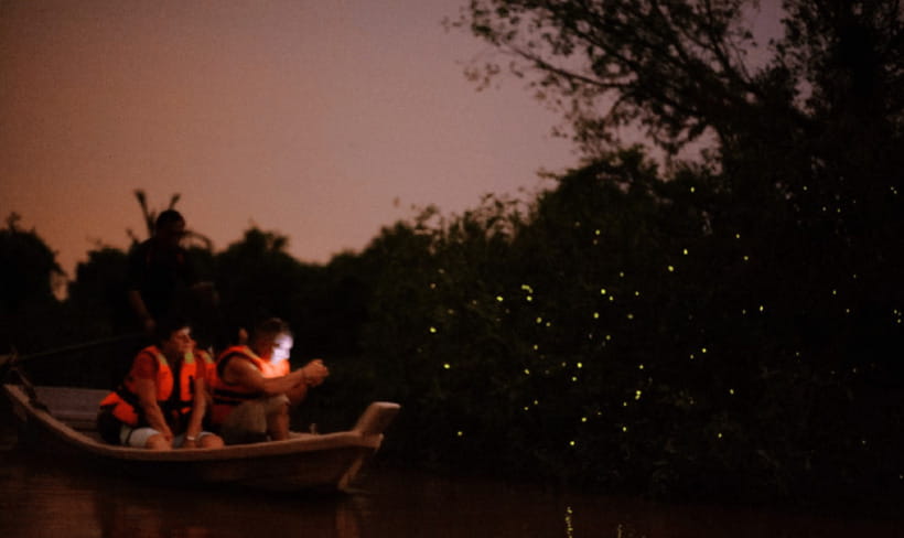 Kuala Lumpur: Kuala Selangor Firefly Tour and Dinner - Is $106 a fair price?