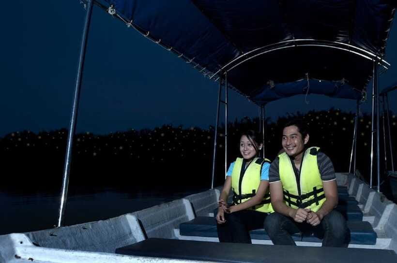 Kuala Lumpur: Kuala Selangor Firefly Tour and Dinner - Should you book the Kuala Selangor firefly tour?