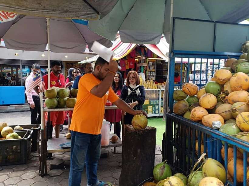 Kuala Lumpur: Private Tour to Genting Highland & Batu Caves - The strawberry farm adds a lighter final stop