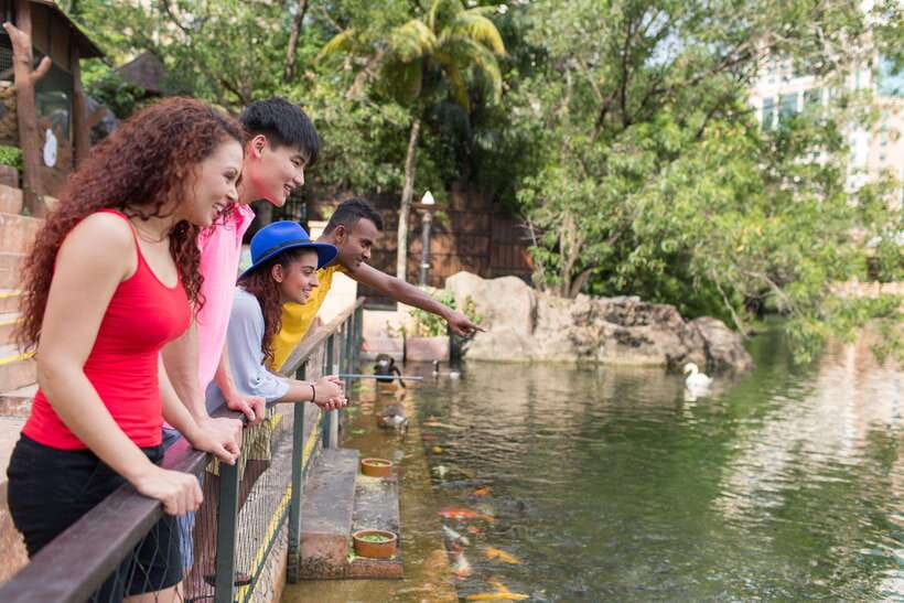 Kuala Lumpur: Sunway Lagoon Entry Ticket - Extreme Park for the boldest activities