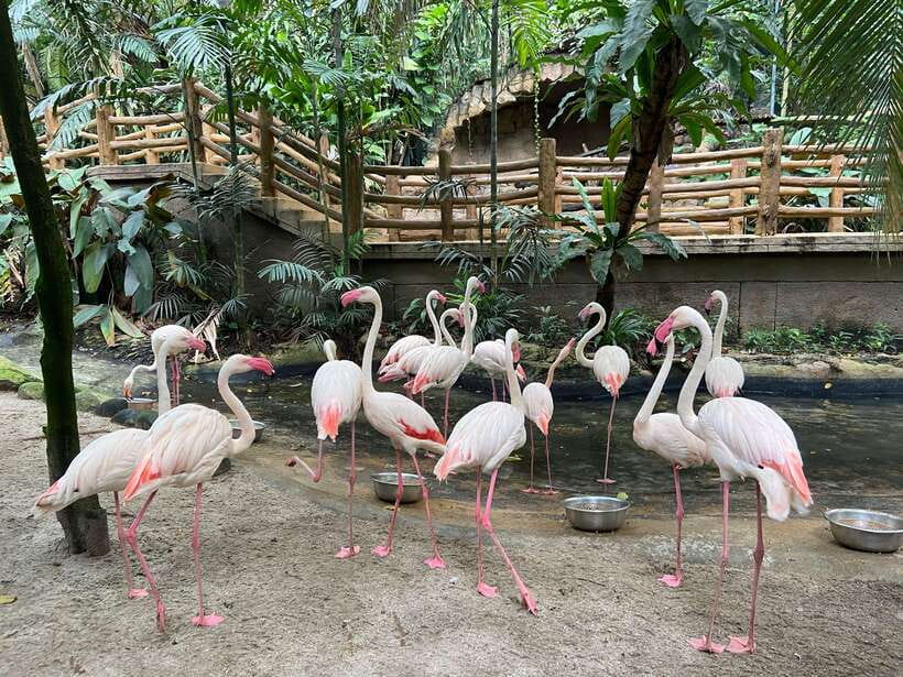 Kuala Lumpur: Sunway Lagoon Ticket & 1-Way Transfer - Getting from Kuala Lumpur to Sunway Lagoon