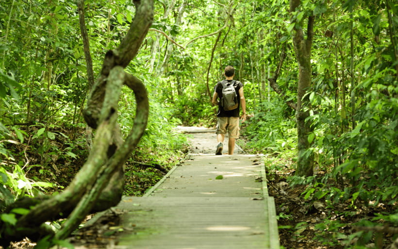 Kuala Lumpur: Taman Negara National Park Teras Waterfall - Lunch by the River