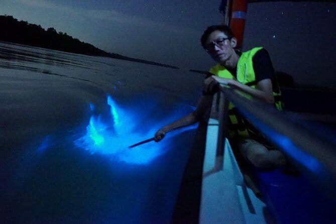 Kuala Selangor Fireflies and Blue Tears Tour with Dinner (SIC) - From Kuala Lumpur to Bukit Melawati