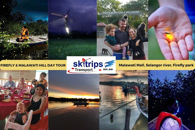 Kuala Selangor Fireflies - Batu Caves Temple- Malawati Hill DayTour With Dinner - From Kuala Lumpur to Kuala Selangor in one long day