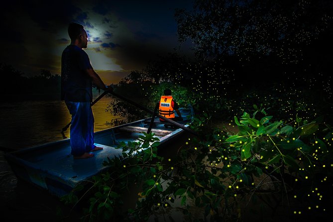 Kuala Selangor Fireflies - Batu Caves Temple- Malawati Hill DayTour With Dinner - Is $91.93 good value?