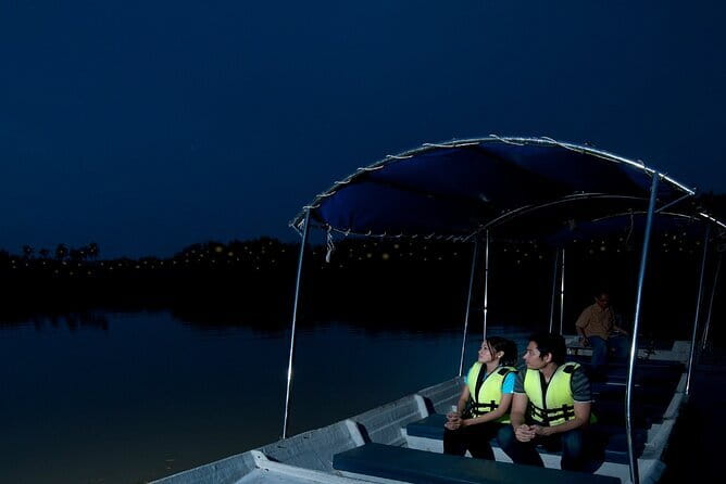 Kuala Selangor Firefly Blinkings Private Tour with Seafood Dinner - Key points at a glance