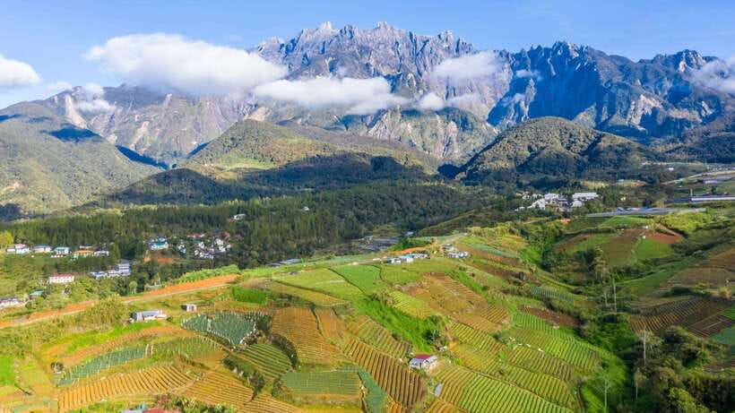 Kundasang: Day Tour with Desa Dairy Farm and Alpaca Club - Key points to know before booking