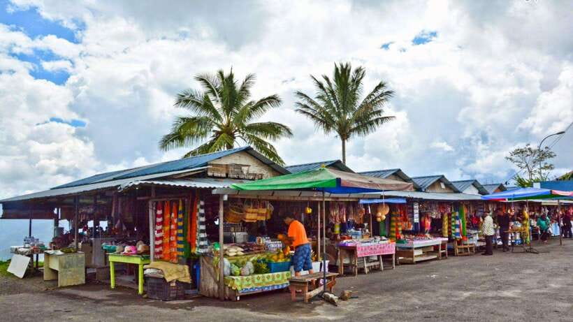 Kundasang: Day Tour with Desa Dairy Farm and Alpaca Club - From Kota Kinabalu to the highlands