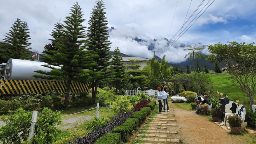 Kundasang: Day Tour with Desa Dairy Farm and Alpaca Club - A one-hour break in Pekan Kundasang