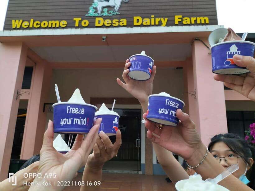 Kundasang : Poring Hot Spring + Desa & Meal Shared Tour - Desa Dairy Farm, Sabah’s little New Zealand