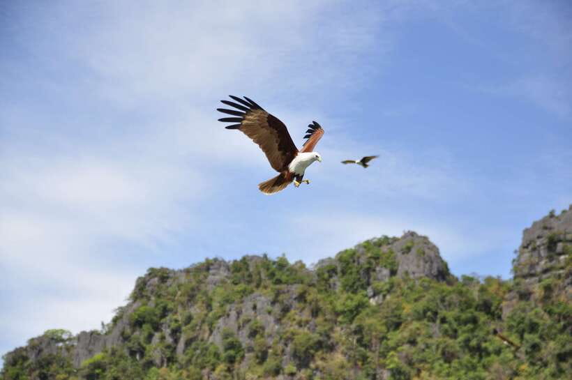 Langkawi: 6-Hour Private Island Highlights Tour - Spending real time at Seven Wells Waterfall