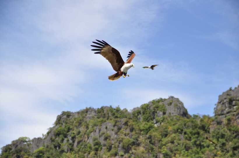Langkawi: 6-Hour Private Island Highlights Tour - How to plan the best six-hour itinerary