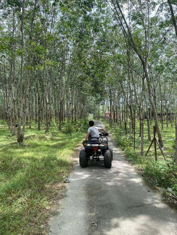 Langkawi:ATV Ride at Matchinchang Mountain Foothill - Through rubber trees, farms, and village roads