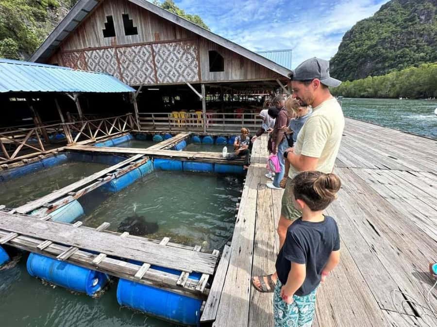 Langkawi: Boat Tour to Magic Island & Mangrove Cruise - Key points at a glance