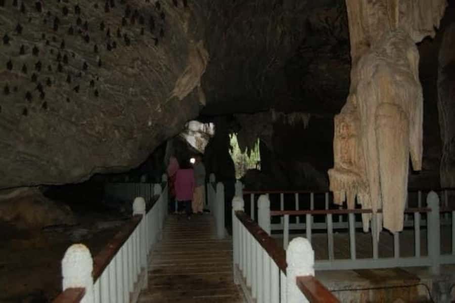 Langkawi: Boat Tour to Magic Island & Mangrove Cruise - Cruising through Kilim’s mangrove channels