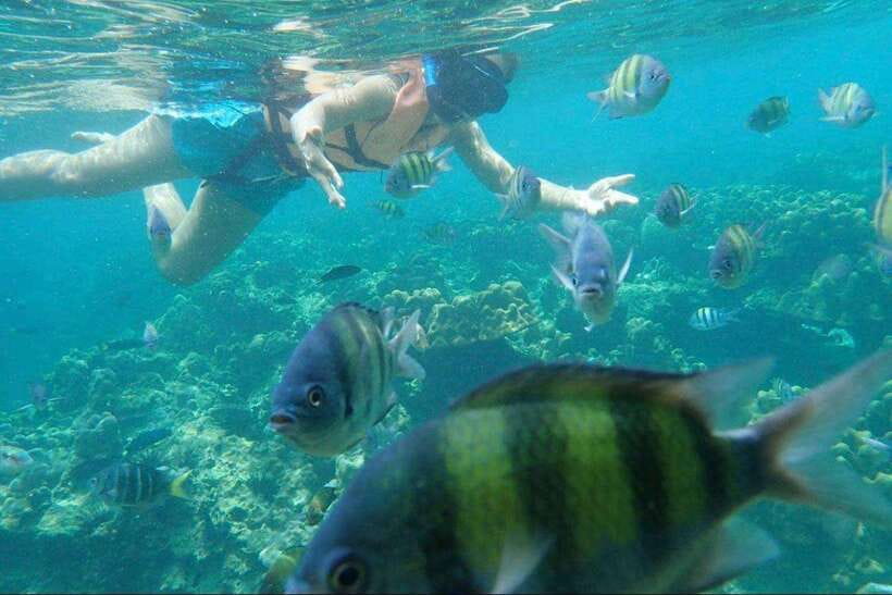 Langkawi: Dangli Island Snorkel and Swim Speedboat Tour - FAQ