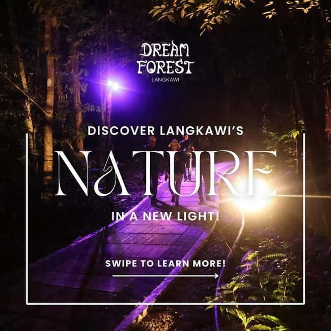 Langkawi: Dream Forest Langkawi Standard Admission Ticket - Waterfalls, canopies, and the quieter forest