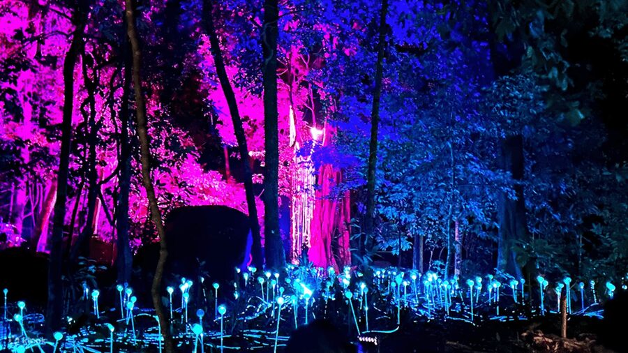Langkawi: Dream Forest Langkawi Standard Admission Ticket - Timing your visit around the Wednesday closure