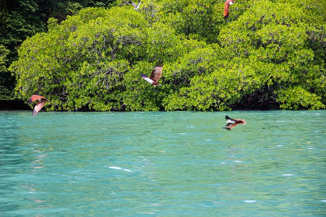 Langkawi Half Day Island Hoping Tour- Sharing basis - Beras Basah Island, the best time to slow down