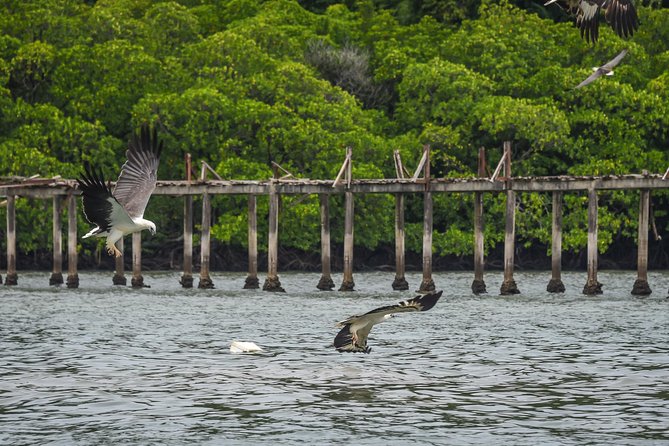 Langkawi Half Day Island Hoping Tour- Sharing basis - Guides, crew, and the feel of the outing
