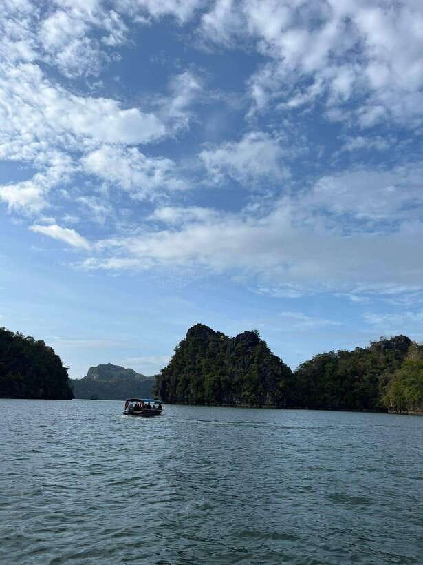 Langkawi: Half-Day Private Kilim River Mangrove Boat Tour - Key things to know before you book