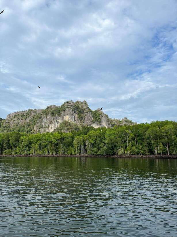 Langkawi: Half-Day Private Kilim River Mangrove Boat Tour - Bat Cave and the first mangrove channels