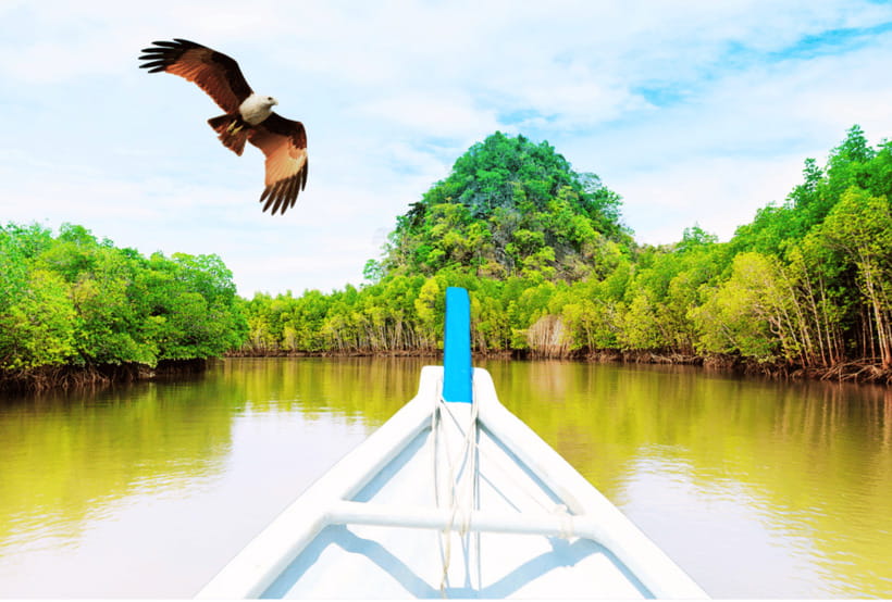 Langkawi: Half- or Full-Day Private Car Tour of Highlights - Comfort, vehicle size, and practical costs