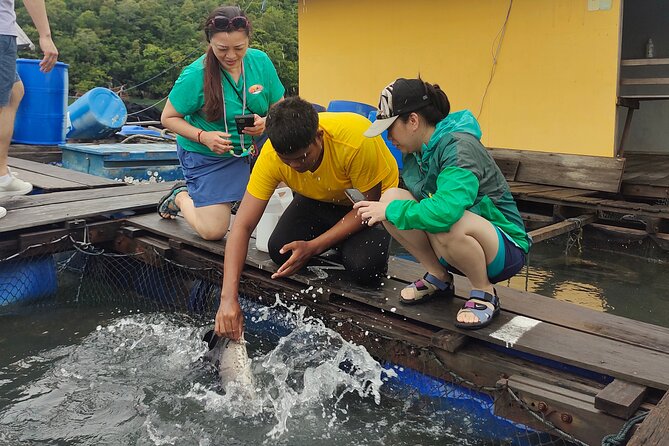 Langkawi Highlights Day Tour - ATV, Mangrove Cruise & Cable Car - One day, several sides of Langkawi