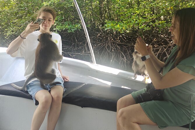 Langkawi Highlights Day Tour - ATV, Mangrove Cruise & Cable Car - Cable car views and the schedule gap