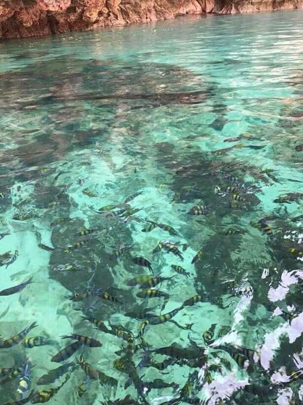 Langkawi Island: Hopping 5 in 1 Grand Tour - What this five-stop Langkawi tour is really like