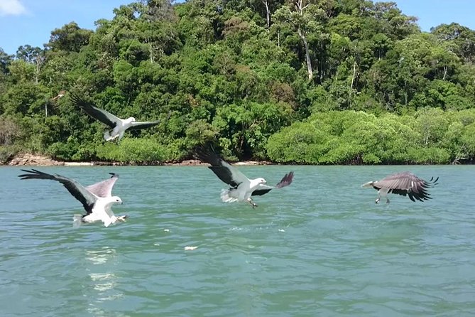 Langkawi Island Hopping Boat Tour with Return Transfer - The eagle stop near Singa Besar