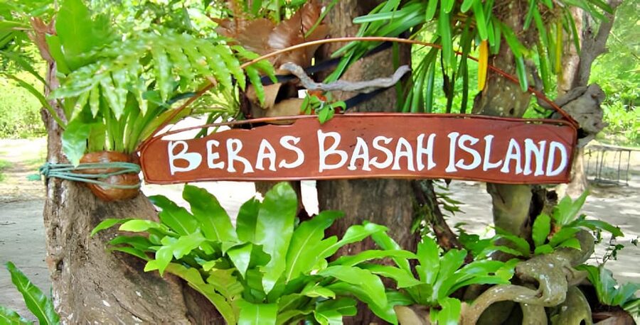 Langkawi: Island Hopping Shared or Private Boat Options - Big Lion Island and the eagle-feeding stop