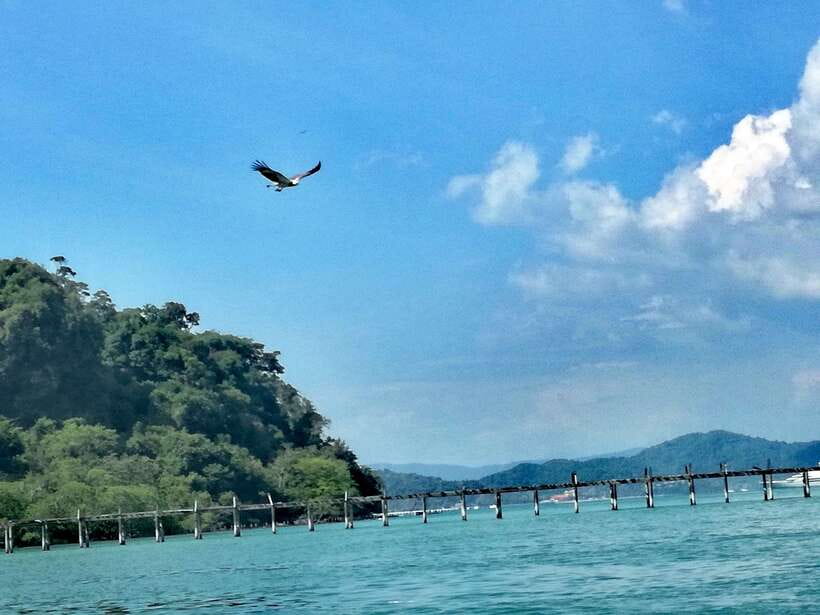 Langkawi: Island Hopping Tour - Who will get the most from this tour