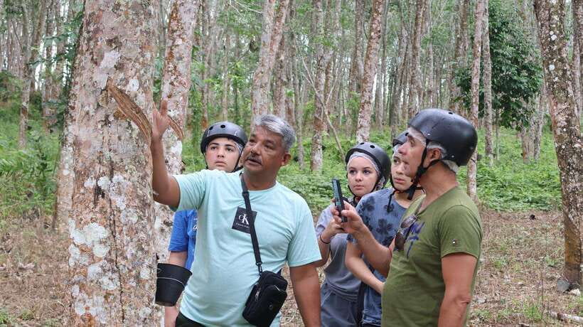 Langkawi Jungle and Waterfall Adventure - Key points to know before booking