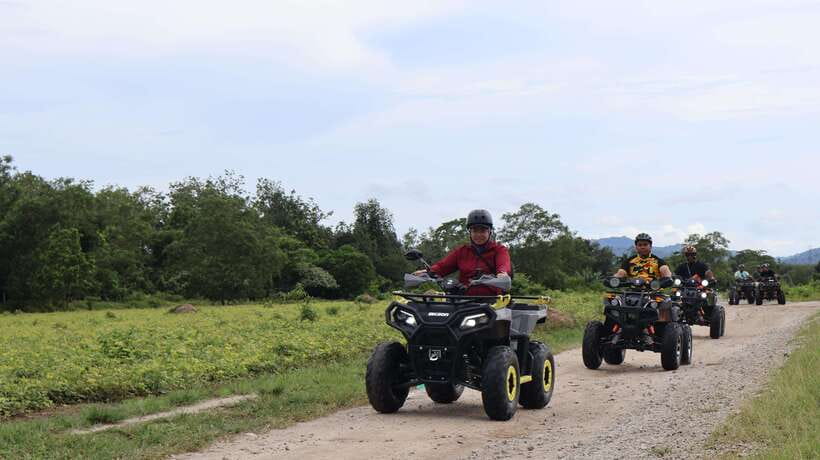 Langkawi Jungle and Waterfall Adventure - Rubber plantations and open paddy fields