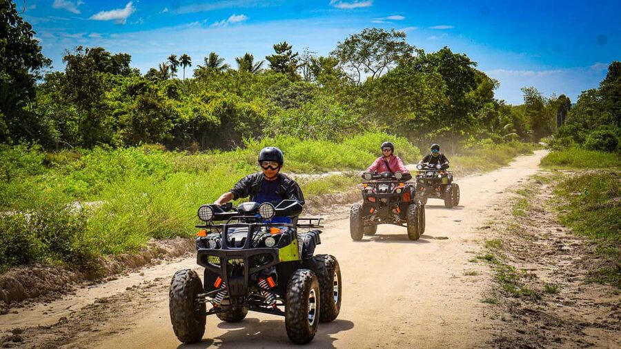 Langkawi Jungle and Waterfall Adventure (Golden Hour) - Rubber plantations and the story of natural latex