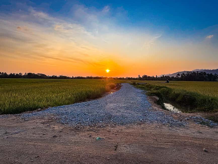 Langkawi Jungle and Waterfall Adventure (Golden Hour) - Paddy fields and farmland on the return route