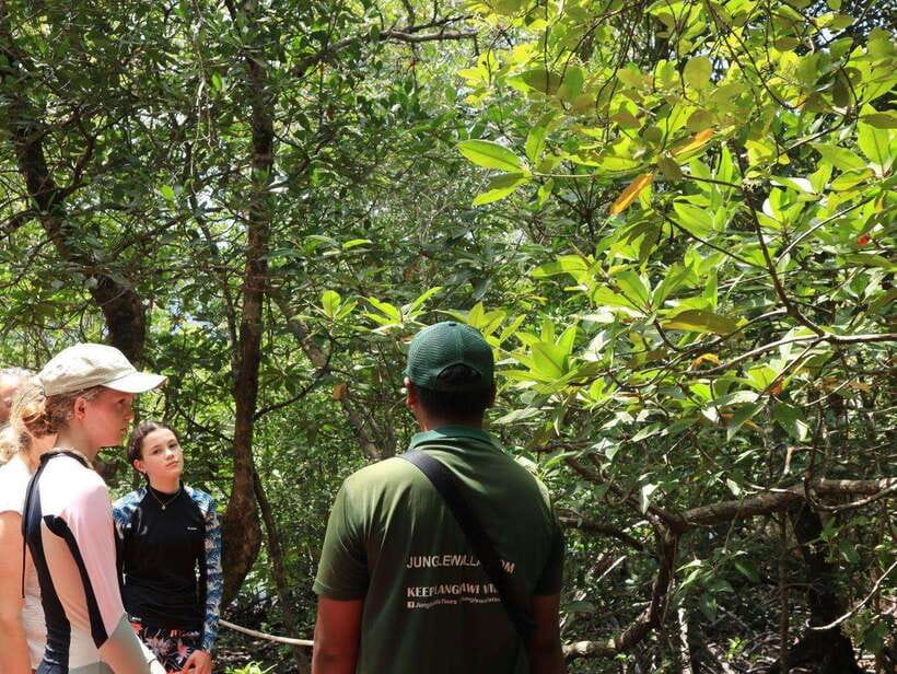 Langkawi: Kayaking Adventure and Swimming - The old charcoal kiln and Pinang Cave