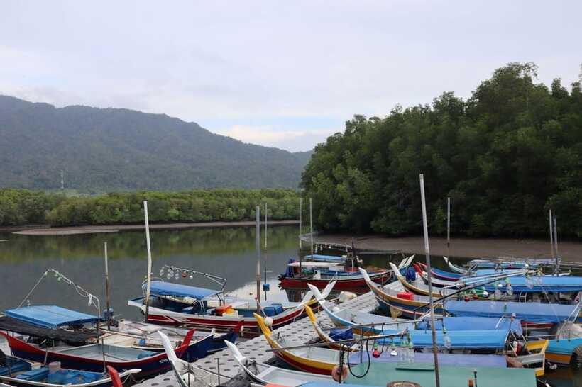 Langkawi: Kayaking Adventure and Swimming - Who will enjoy this Langkawi outing?
